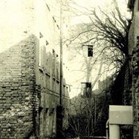 Walter Schroeder Photo 12