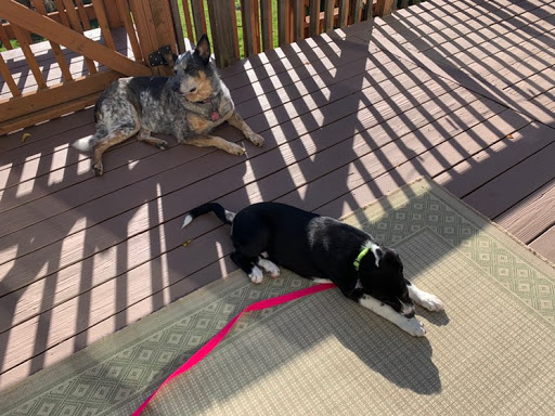 Joanna Gallagher Photo 5