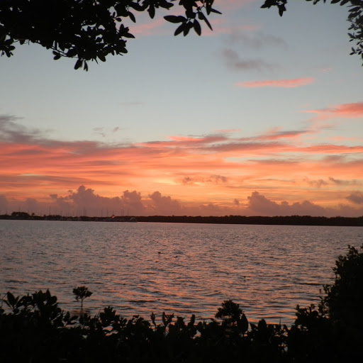 Suzanne Conrad Photo 24