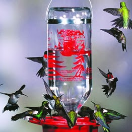 Laurie Woodward Photo 4