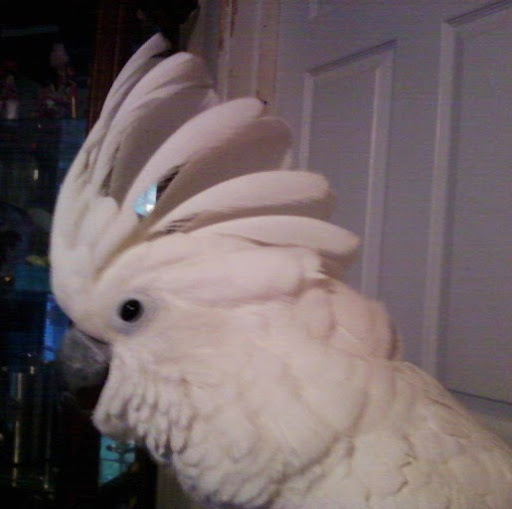 Julie Herrington Photo 30