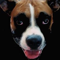 Susan Mccormick Photo 20