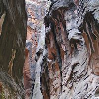 Kelly Abbott Photo 39