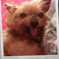 Tracey Beasley Photo 23