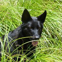 Robyn Stephenson Photo 10