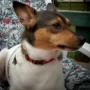 Darlene Crawford Photo 42