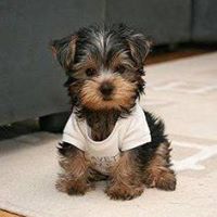 Gail Thomas Photo 30