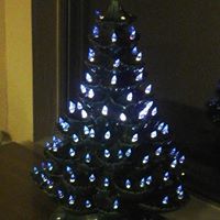 Mary Treadway Photo 13