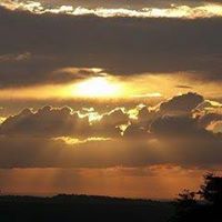 Cheryl Pierce Photo 20