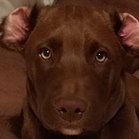 Tracey Pearson Photo 23