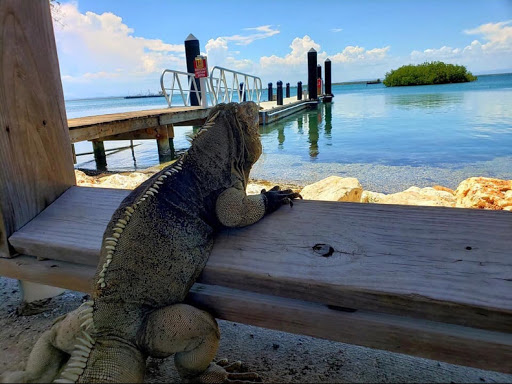 Gloria Bryant Photo 7