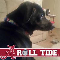 Susan Funderburk Photo 2