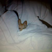 Elizabeth Rolon Photo 4