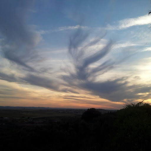 Carmen Mejias Photo 22