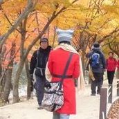 Helen Cheng Photo 11