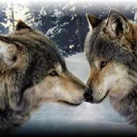 Sarah Sprouse Photo 8