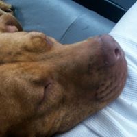 Edward Stevens Photo 22 Edward Stevens Photo 22