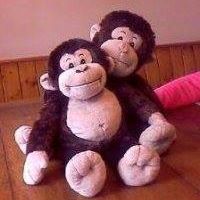 Chester Cross Photo 16