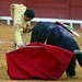 Eduardo Davila Photo 13