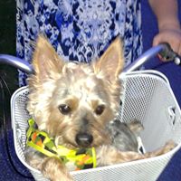 Julie Meadows Photo 12