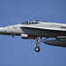 David Franks Photo 23