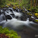 Janice Randall Photo 12