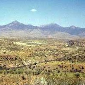 Paula Tompkins Photo 2