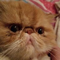 Linda Cowan Photo 11