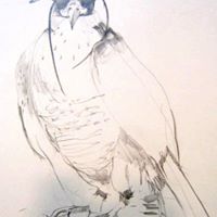 Linda Shere Photo 7