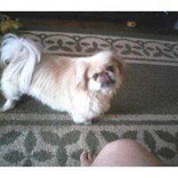 Sylvia Castro Photo 31