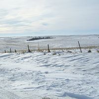 Betsy Meyer Photo 10