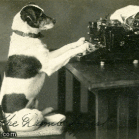 Lisa Mercer Photo 40 Lisa Mercer Photo 40