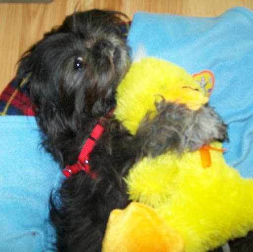 Phyllis Coffey Photo 6