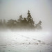Maria Robison Photo 27
