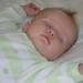 Ann Beyer Photo 15