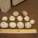 Ellen Iverson Photo 10