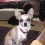 Debra Burton Photo 32