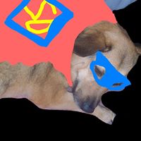 Mark Starr Photo 22 Mark Starr Photo 22