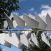 Ronald Ackerman Photo 20