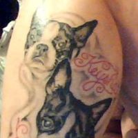 Laurie Hammer Photo 13