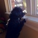 Jamie Pham Photo 6