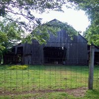 Phyllis Farris Photo 12