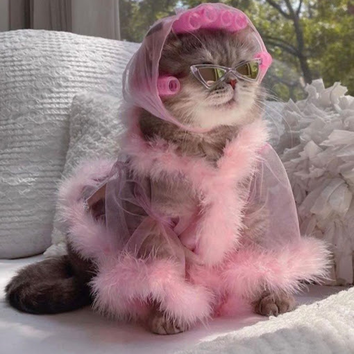 Jenny Liang Photo 14