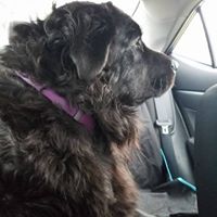 Melissa Garber Photo 31