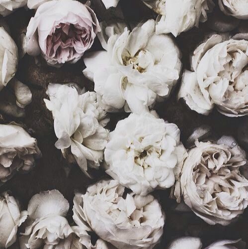 Isabel Vargas Photo 25