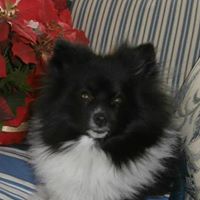 Linda Jewell Photo 16