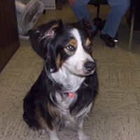 Debbie Neely Photo 21