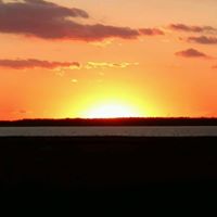 Staci Elliott Photo 7