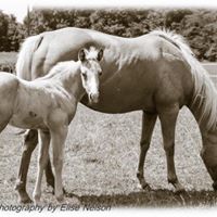 Becky Taff Photo 4