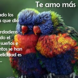 Carmen Cardona Photo 20